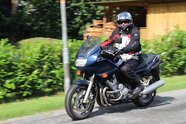 Free Biker Motorcycle Rider photo and picture