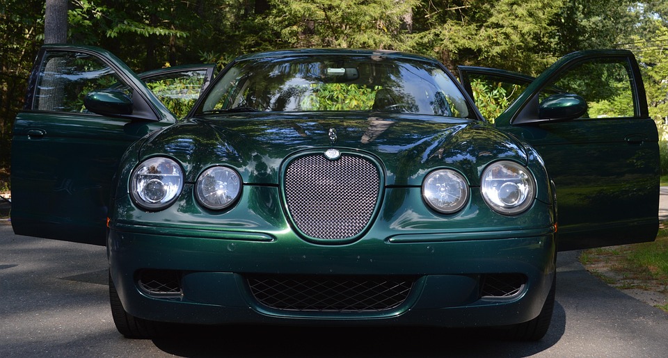 jaguar 1337786_960_720