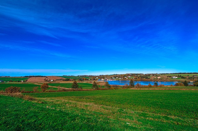 Gård, Sø, Canada, Vand, Blå, Landbrug