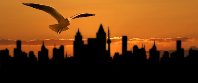 Free banner header nature illustration