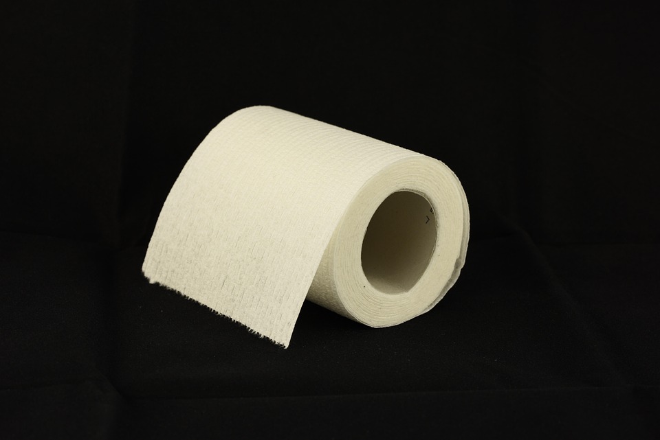 toilet paper roll tissue free photo on pixabay