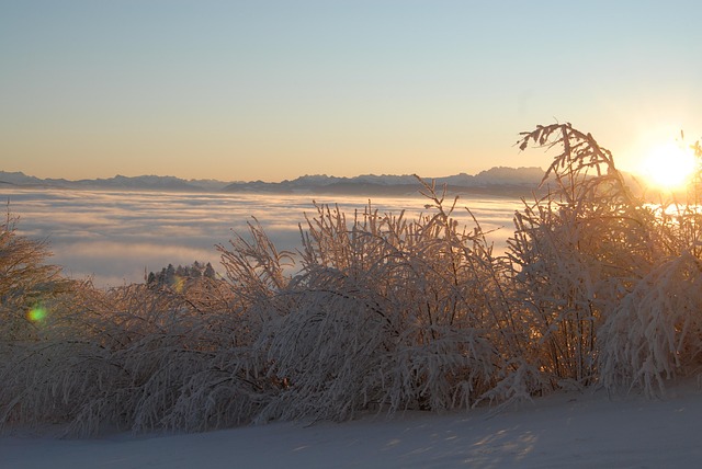 Free Mood Winter photo and picture