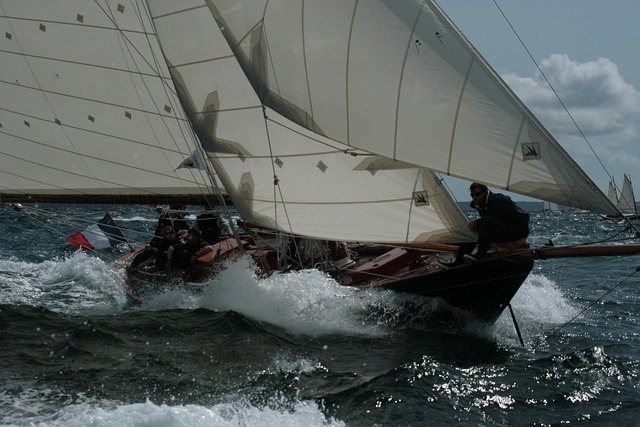 Free Sail Boat Brest 2012 photo and picture