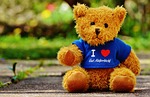 teddy, good aiderbichl, sanctuary