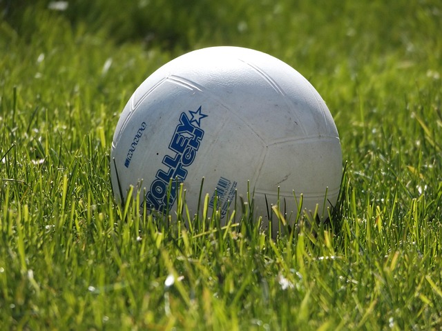 Free Ball Round photo and picture