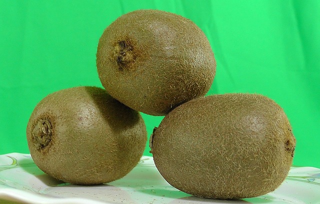 Free Kiwi Fruit photo and picture