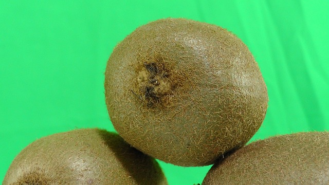 Free Kiwi Fruit photo and picture