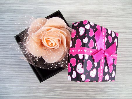 Free Box Rose photo and picture