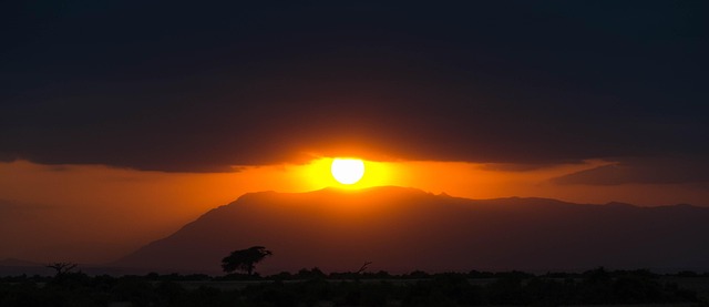 Afrika, Solnedgang, Safari, Orange, Gul