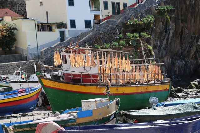 Free Madeira Boat photo and picture