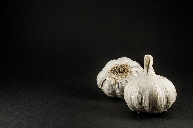Free garlic meal garlic bulb illustration
