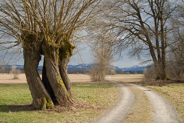 Free Pasture Spring photo and picture
