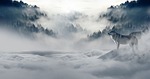 wolf, wolves, snow wolf