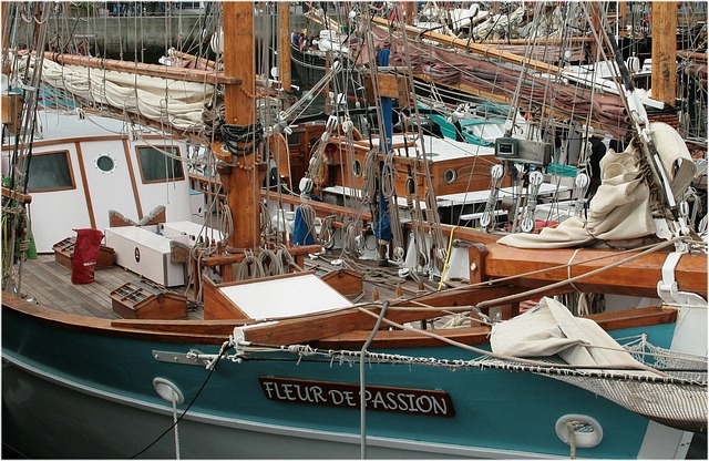 Free Boat Brest 2012 photo and picture