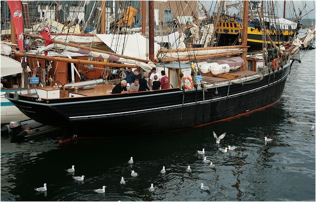 Free Boat Brest 2012 photo and picture
