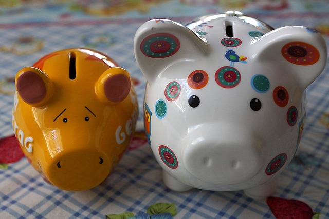 Free Piggy Bank Money photo and picture