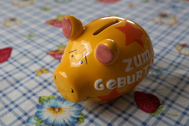Free Piggy Bank Coins photo and picture