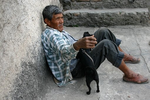70以上の無料人と犬 犬画像 Pixabay