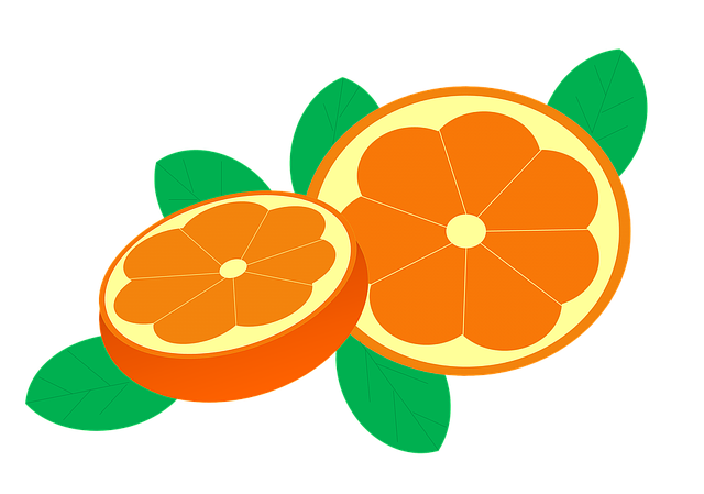 Free oranges orange bay citrus sinensis illustration