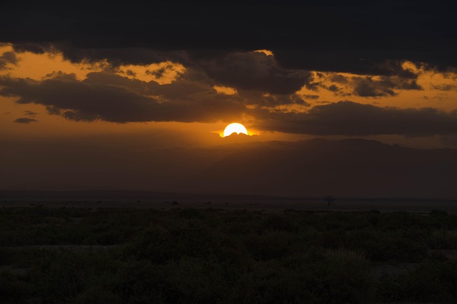 Afrika, Safari, Solnedgang, Rejse