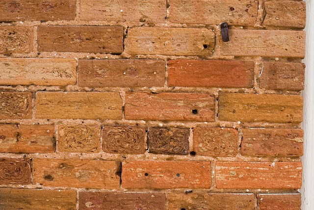 Free Background Old photo and picture
