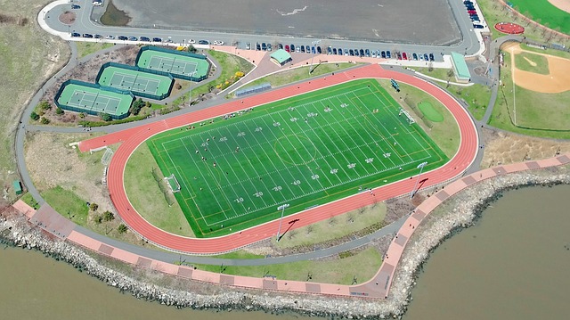Free Soccer Field photo and picture