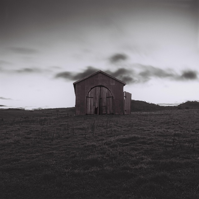 Free Nothing Zip photo and picture