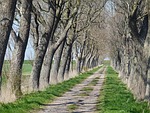 avenue, coast, dike