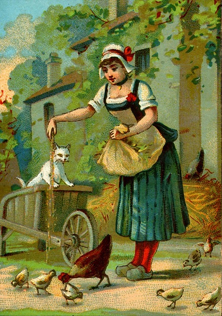 Free postcard chickens france illustration