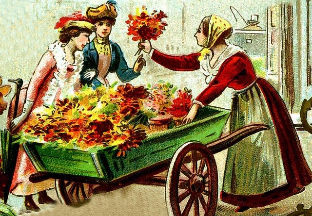 Cartão Postal, Natureza, Antigo, Vintage