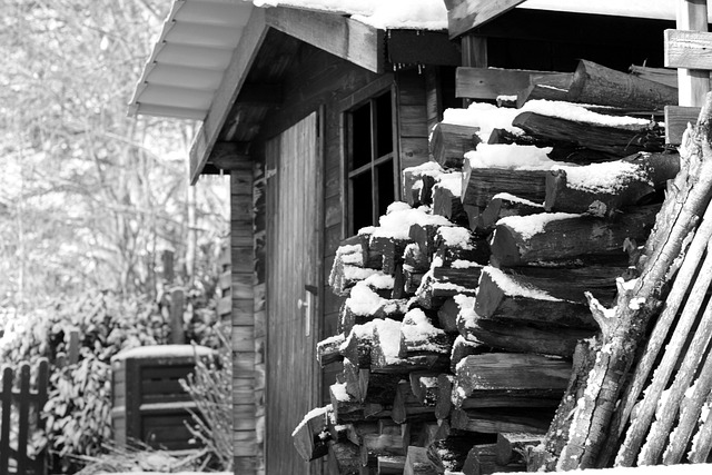 Free Chalet Snow photo and picture