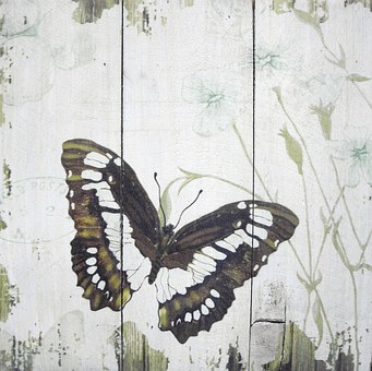 Free Butterfly Wood illustration and picture