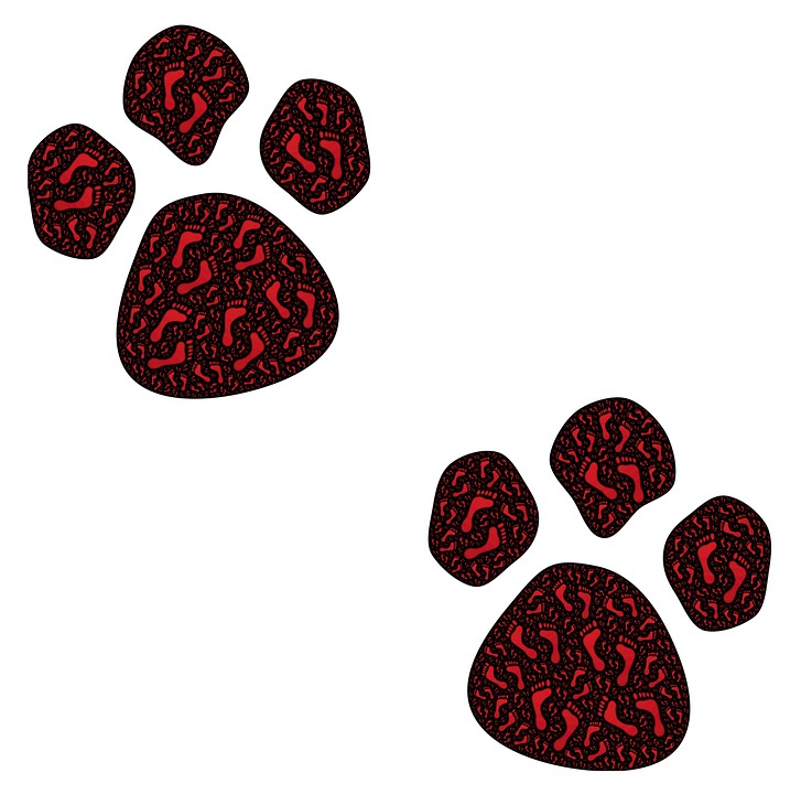 Patas Imprime Huellas Imagen gratis en Pixabay