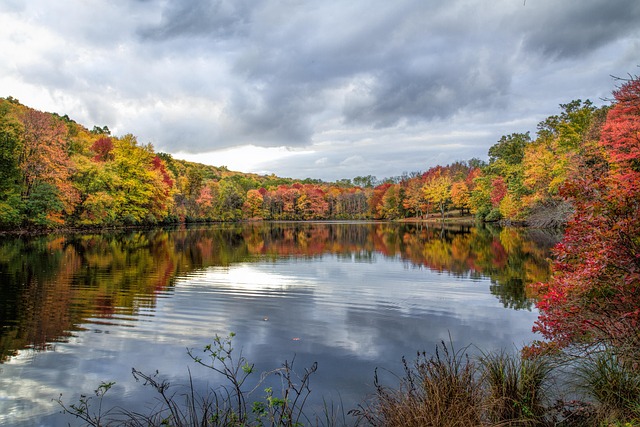 Free Hidden Lake Water photo and picture