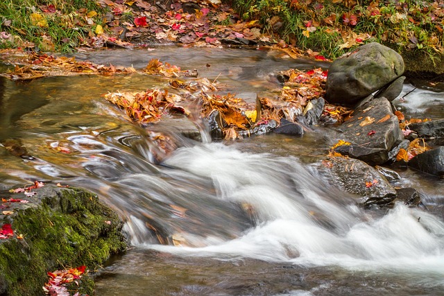 Free Water Flowing photo and picture
