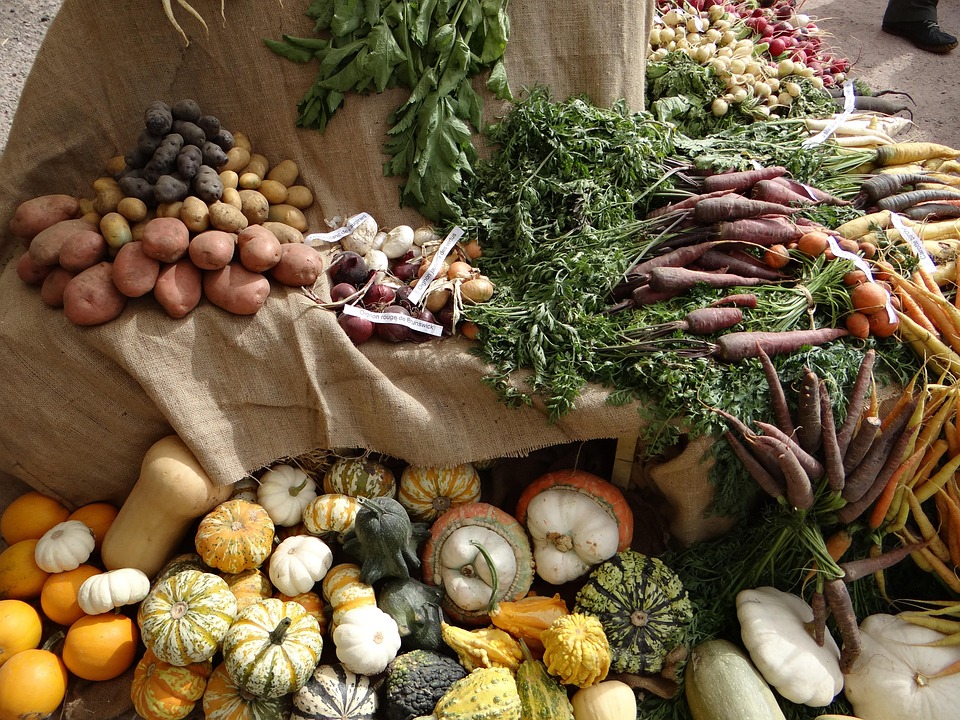 L gumes Vieux tal Photo Gratuite Sur Pixabay L gumes vieux tal photo gratuite sur pixabay