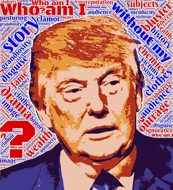 Free trump facade identity illustration