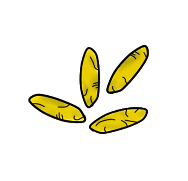 Free Aedes Aegypti Dengue illustration and picture