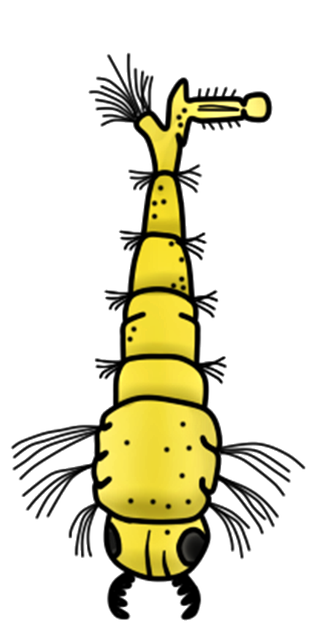Free Larva Aedes Aegypti illustration and picture
