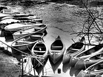 boats, canoeing, paddle