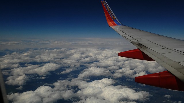 Free Airplane Flight photo and picture