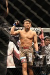 mma, mixed martial arts, maza fight