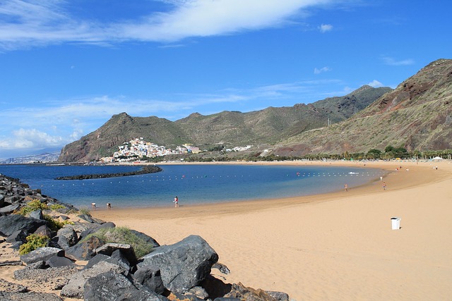 Free Beach Sand photo and picture