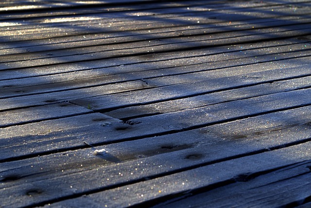 Free Boards Frost photo and picture