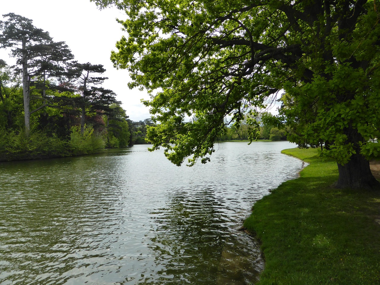 Water - free online jigsaw puzzle photo