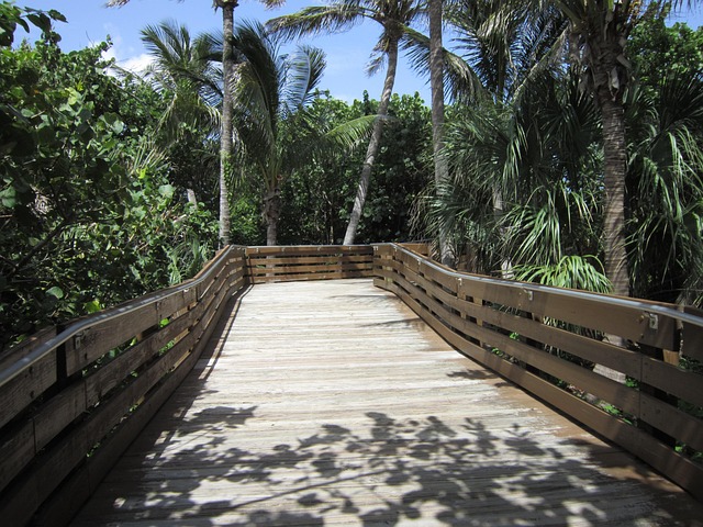 West Palm Beach, Brücke, Florida, Palme