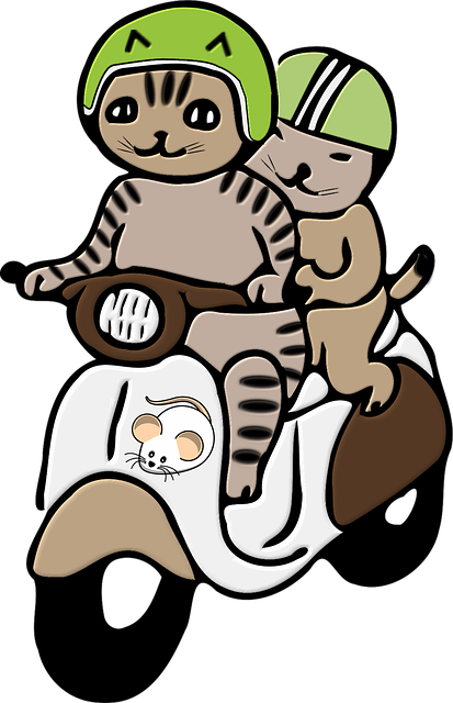 Free Cats Helmet illustration and picture