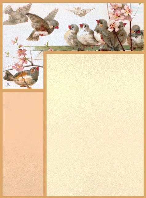 Free scrapbook paper page illustration