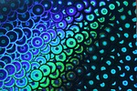 construction paper, iridescent, photo paper