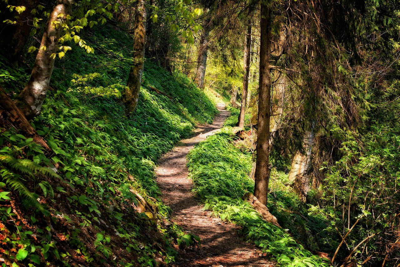 Hiking Trail